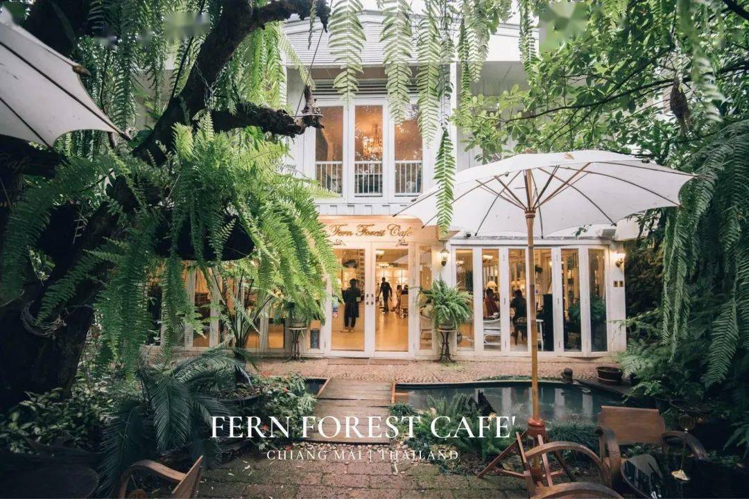 在炎炎夏日一起收藏在泰国咖啡馆里的绿野仙踪吧