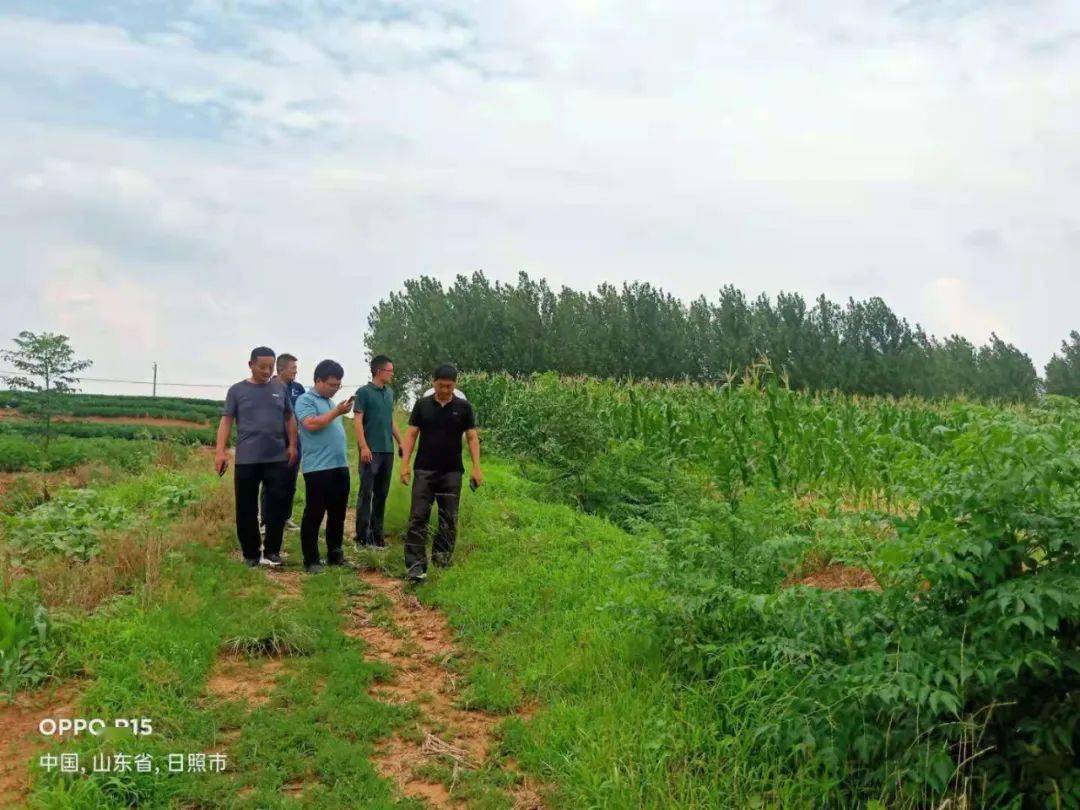 图片来源:赵龙祥