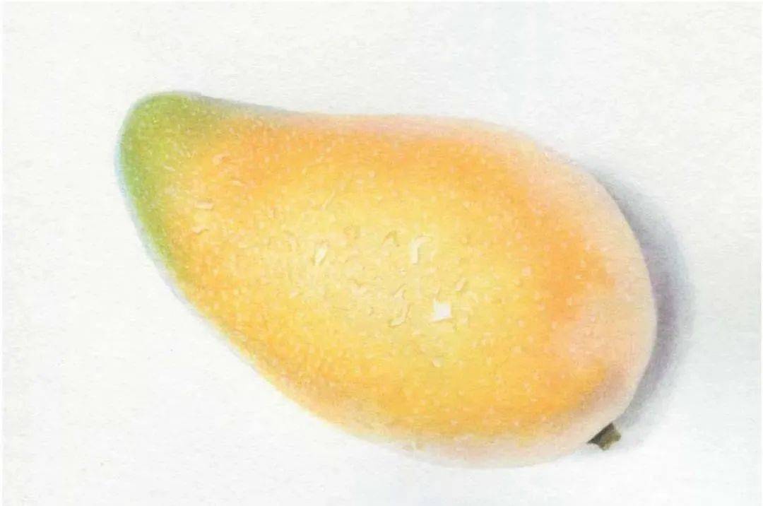 写实彩铅教程芒果