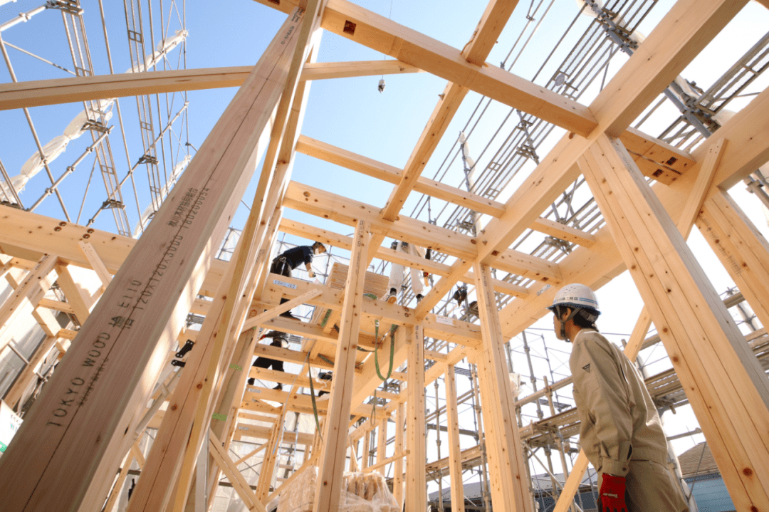 全球木材价格大幅下降 为何木建筑发展仍然困难重重 日本
