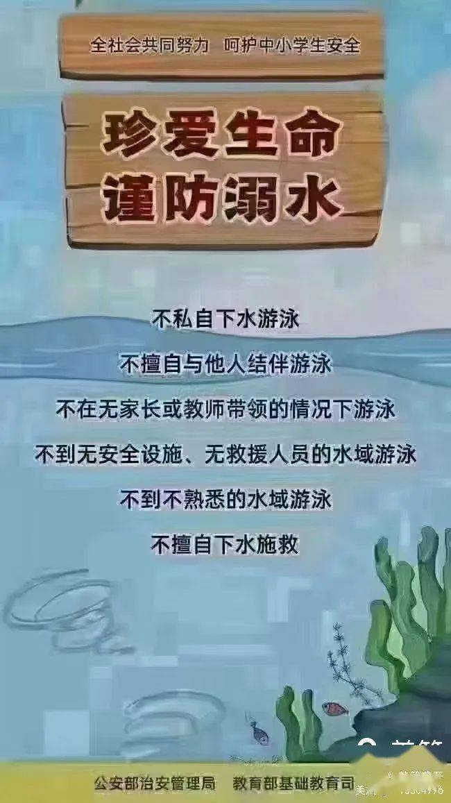 4c2b42f91f324434ad60330a906bb4cf.jpeg