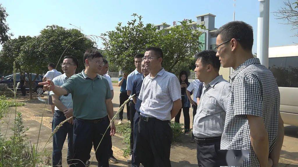 黄力到工业园区调研