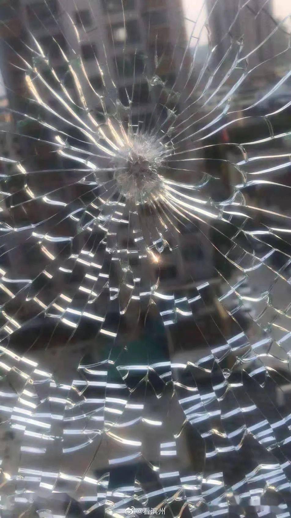 黄五附近某小区内多辆私家车玻璃被击碎滨州李某芳被行拘震撼滨州天空