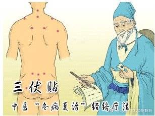 局部|三伏贴贴敷治疗的注意事项