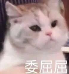 温度|三伏天护肤强攻略！水乳面霜放心用！