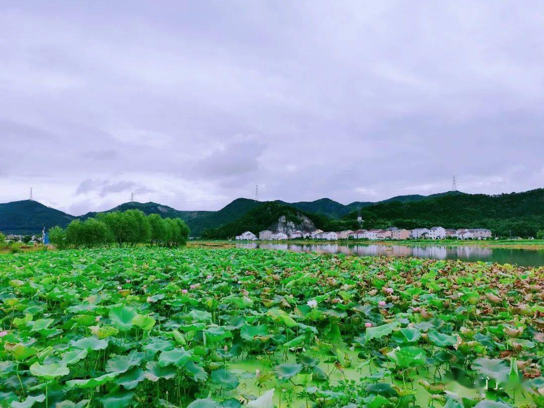 来一场夏日鲜游一日看尽健跳镇