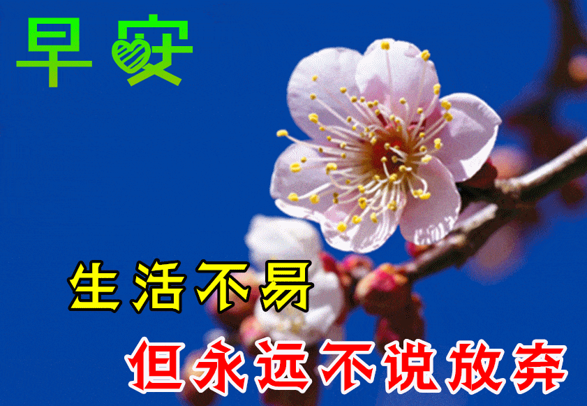 7月15日最漂亮早上好动态表情图片大全早晨好动图美图大全