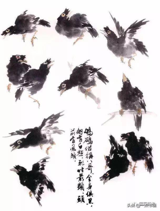 图文教程——学画写意八哥
