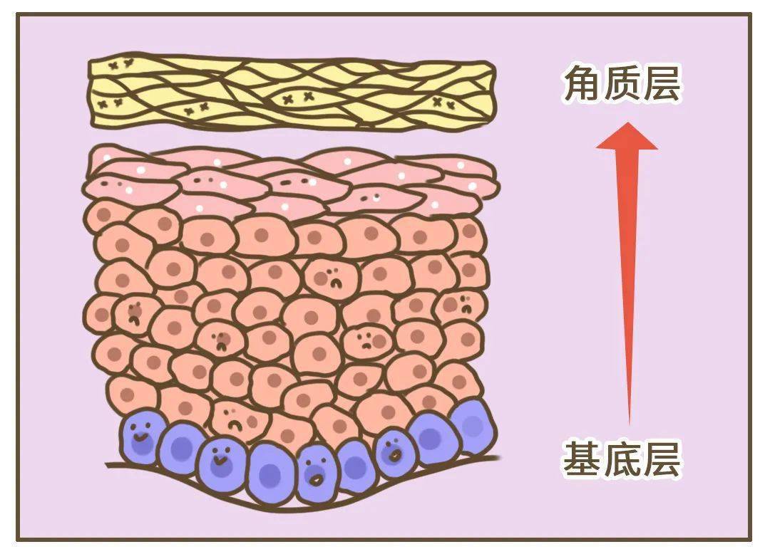 头屑多的真凶我们终于找到了