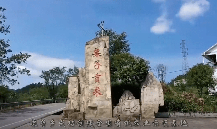 市人大常委会办公厅帮扶集团将丰都县栗子乡建成群众的幸福家园绿色