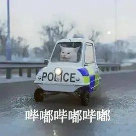 7608cd3bf6e7447bb9866a058f926211.jpeg