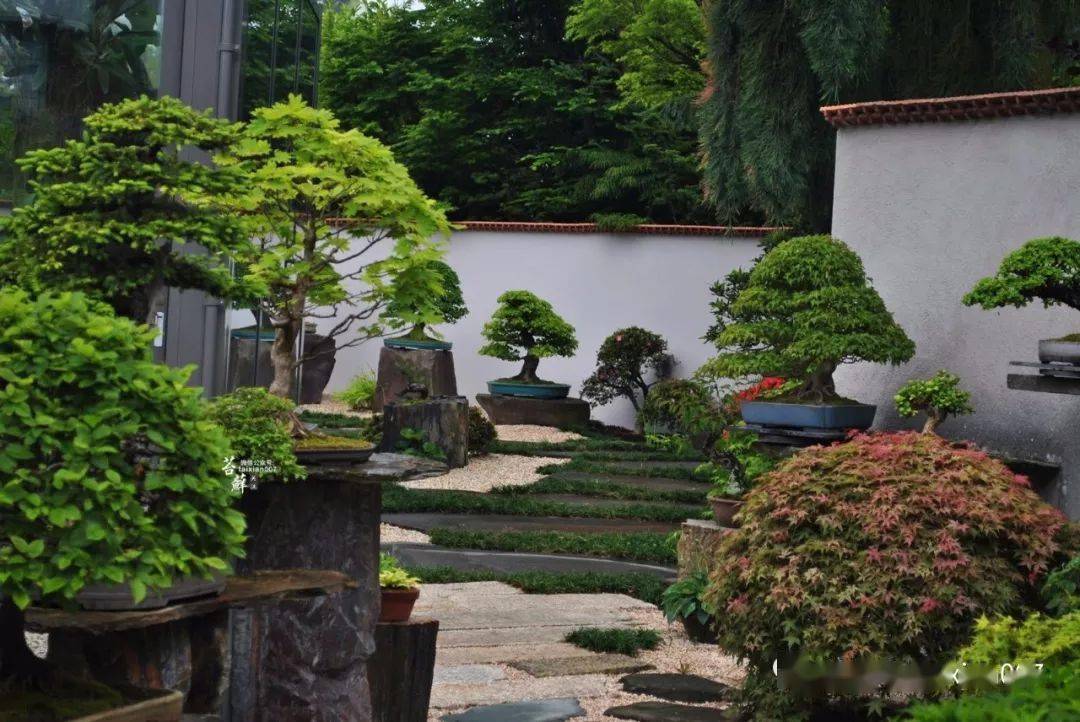 世界顶级盆景园