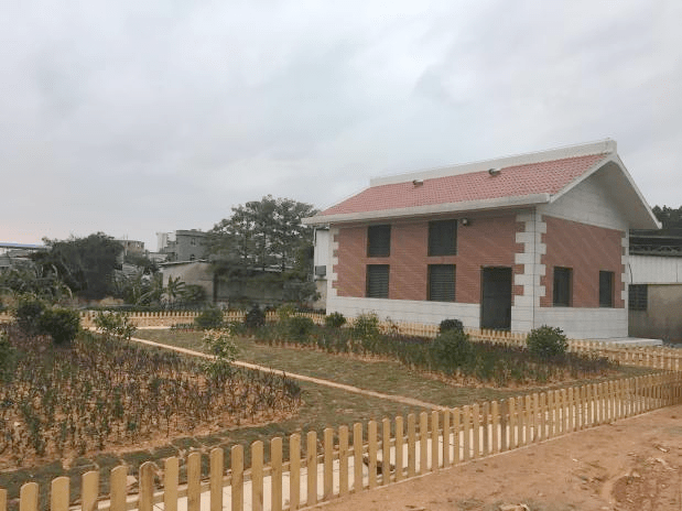 【泉州绿盈乡村91】晋江市安海镇桐林村:桐林古居焕新生_建设