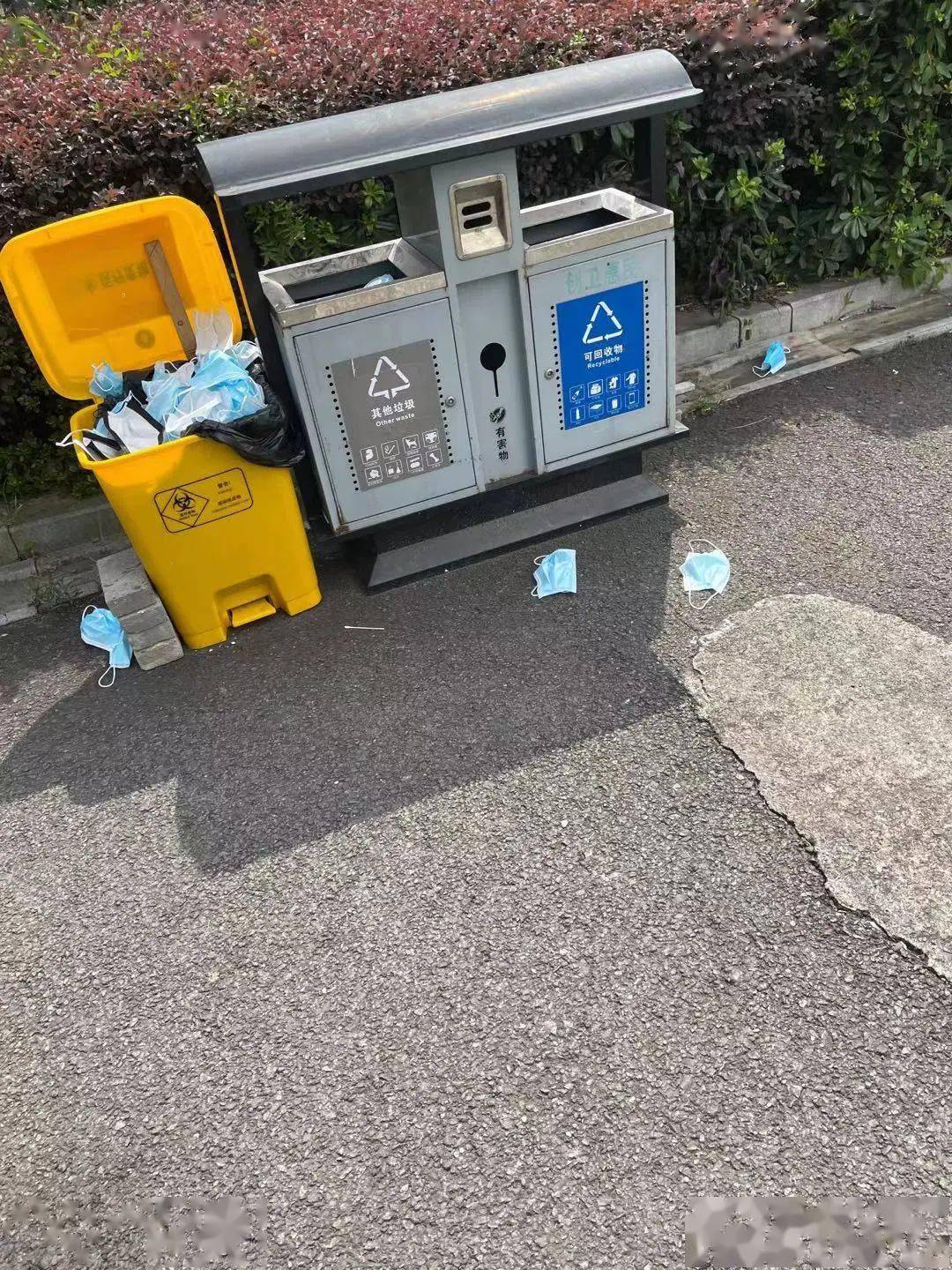 在疫苗接种点外的道路,绿化带附近,废弃的口罩随处可见.