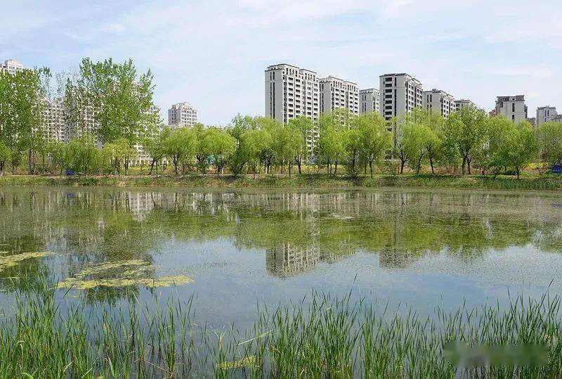 遊覽響水湖公園,體驗蘇北大平原的清涼夏天_響水縣