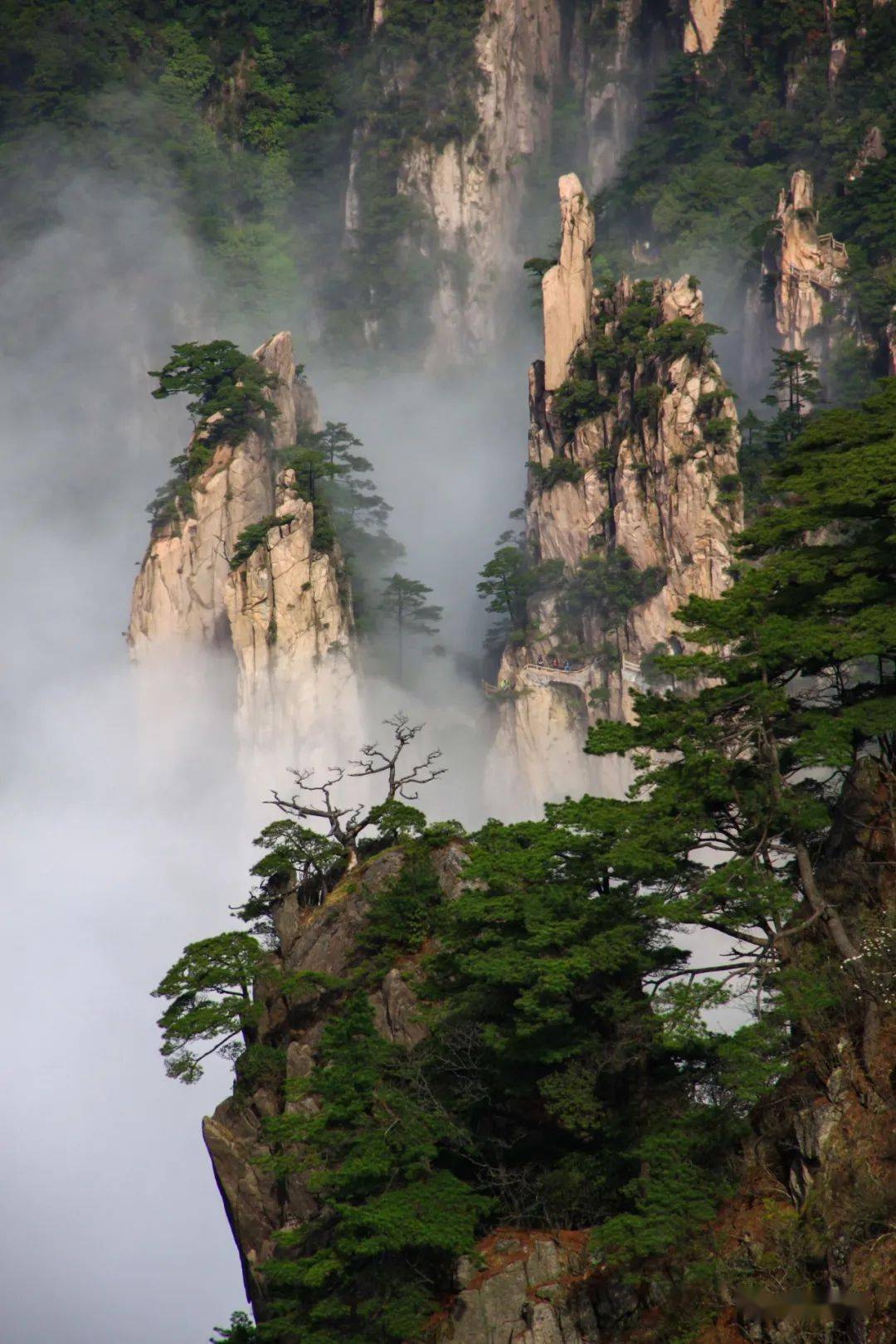 徽风古韵暑夏清幽之旅i暑夏黄山旅游摄影最全攻略
