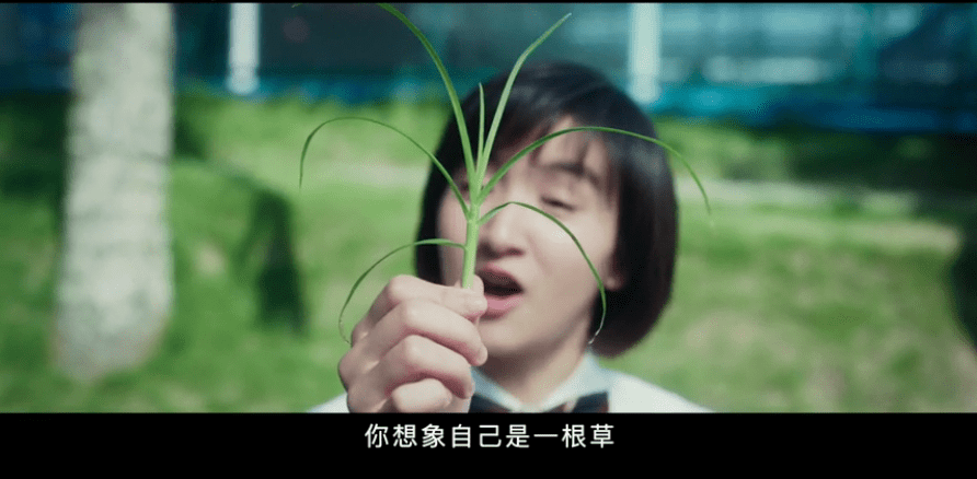 梦想|彭昱畅尽力了，但《燃野少年的天空》还是差口气