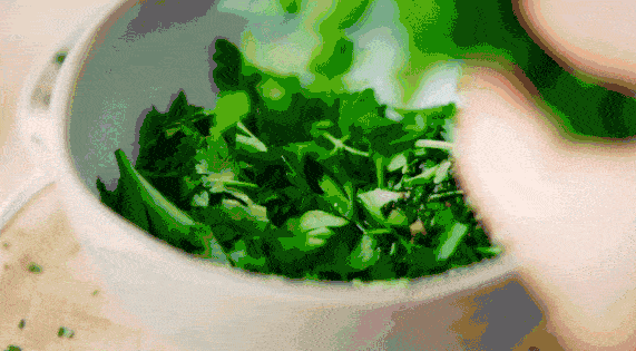 4463cab1ce2a43389181b423eb240717.gif