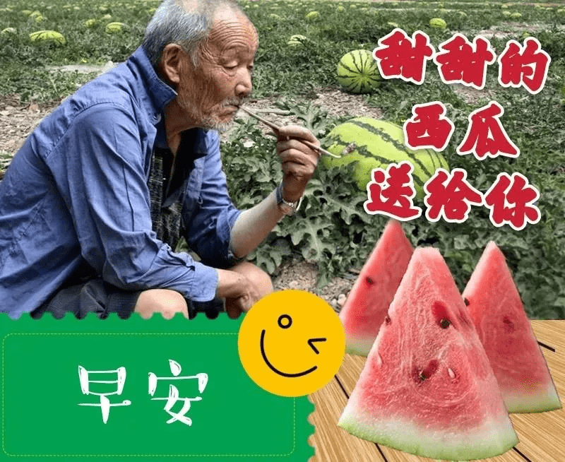 7月17日早上好表情包天气炎热请照顾好自己祝愿大家身体健康