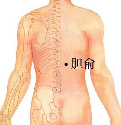 症状|【关注】上腹部胀痛不适,谨防胆囊炎!“疏肝利胆四式”,有助胆囊炎防治