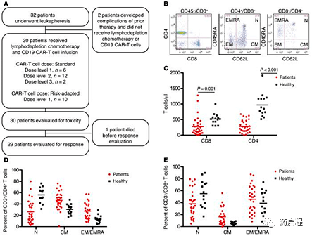 CD19 CAR-T 细胞CD4+CD8+对疗效的影响_患者
