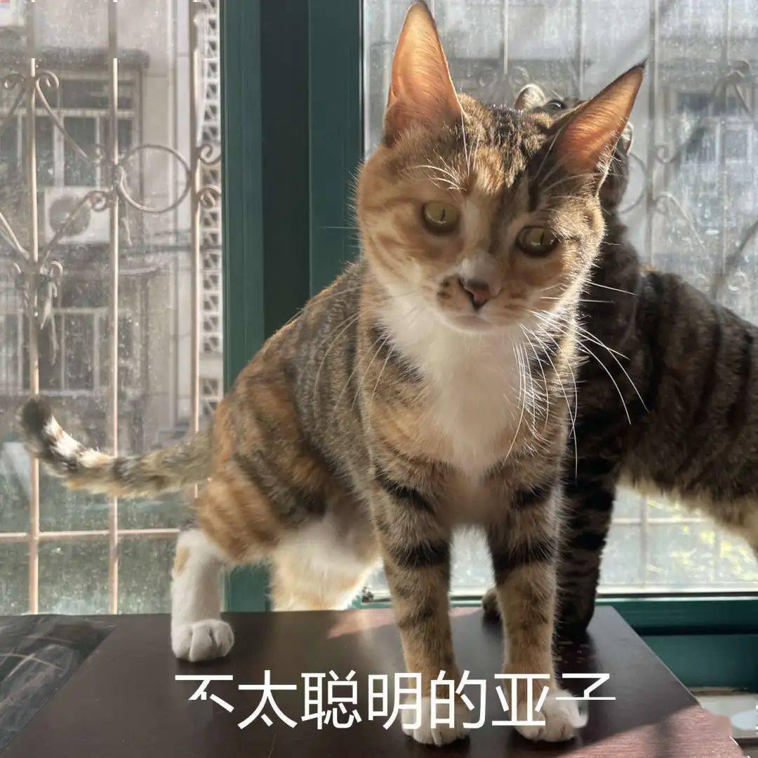 台风"烟花"要来宁波?"退烧模式"即将开启!接下来的天气将会是.