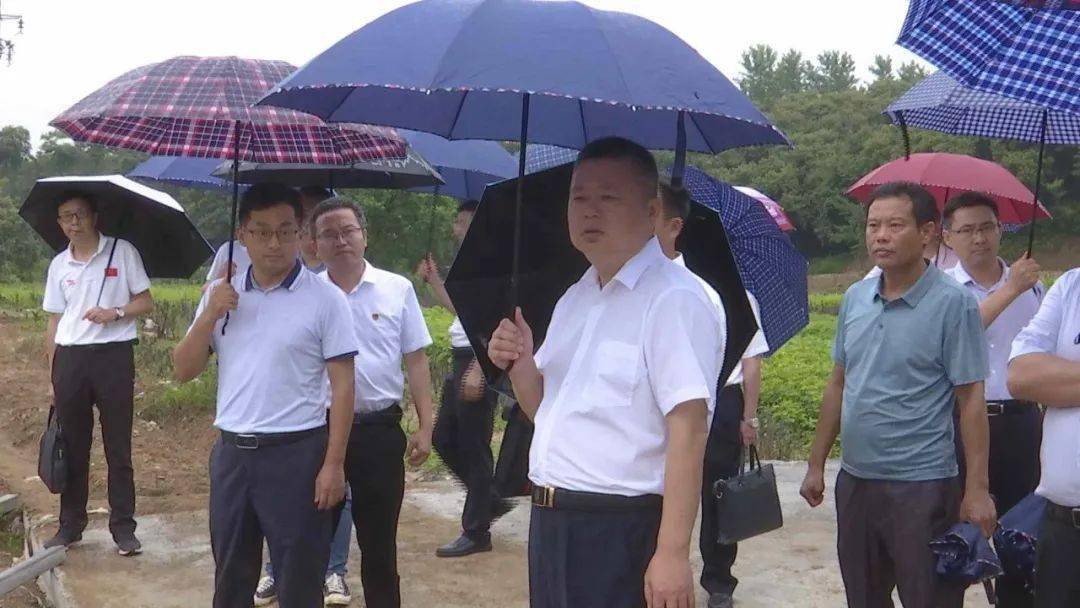 市领导汪国兵,叶旭,凌建平参加会议.