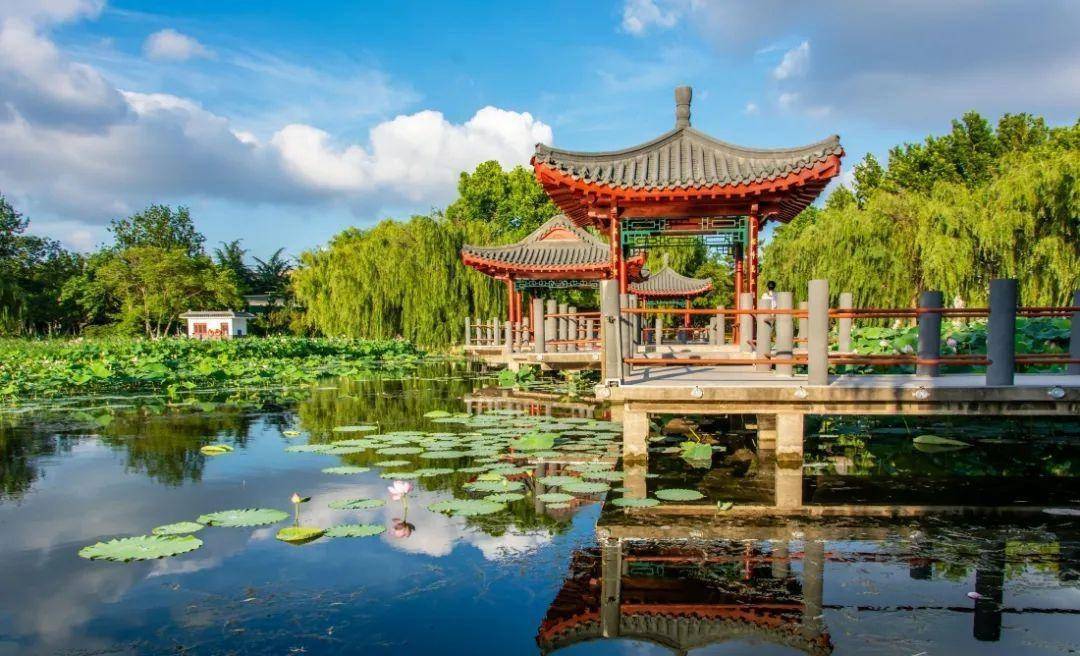 蓝天白云,潍城美出了新高度