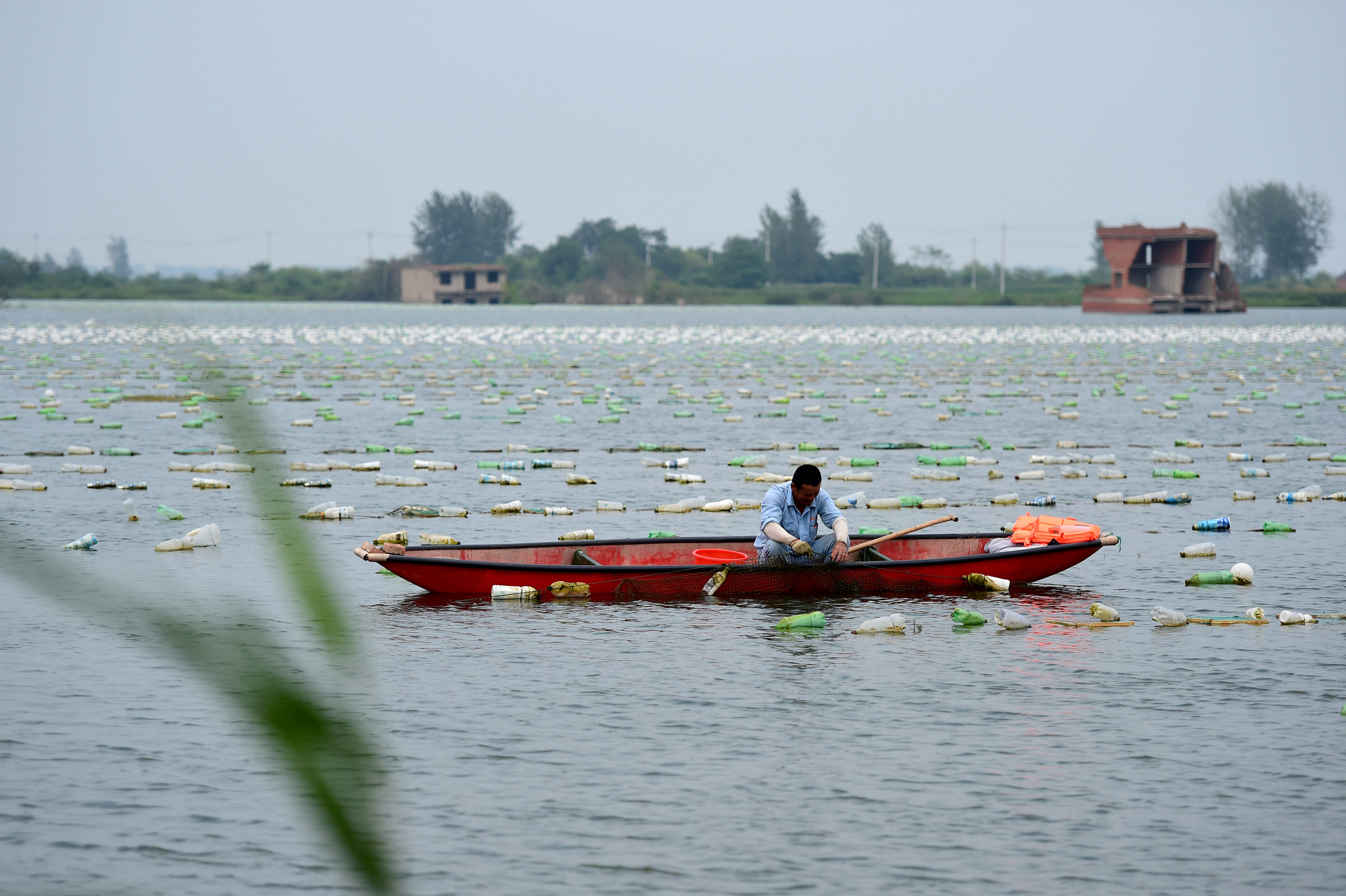 7月19日,在颍上县古城镇珍珠养殖基地,工作人员在采收珍珠蚌.