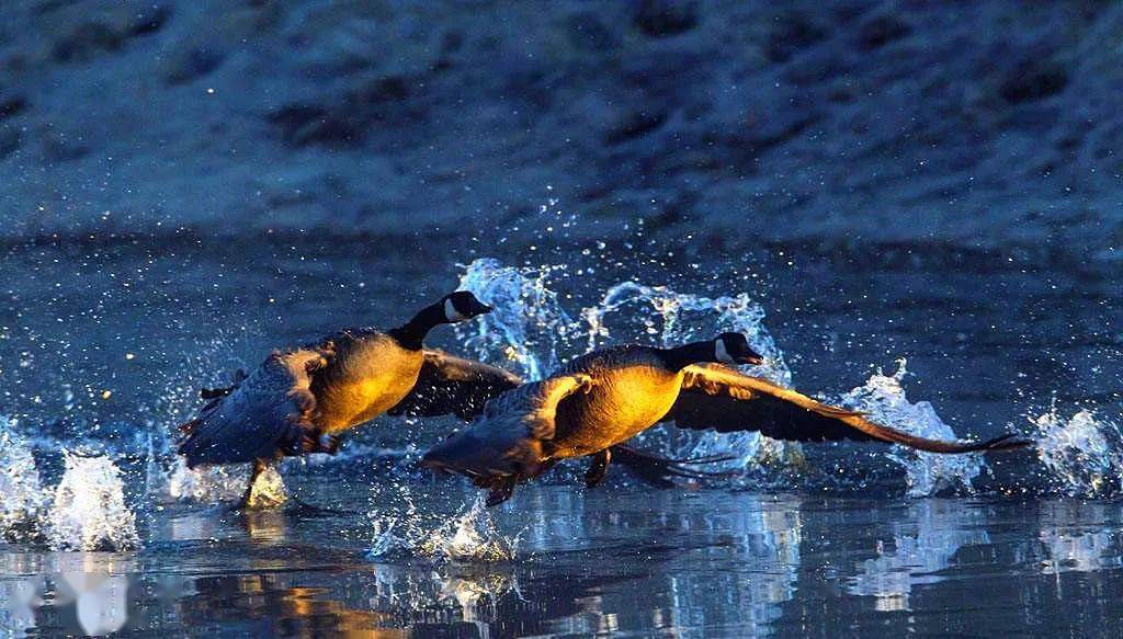 热亻匕了湖城还你一场清凉山水游