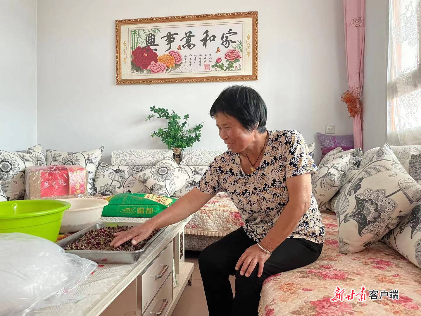 永登县|【小康圆梦·看甘肃】永登县王家坪村：花开小康路