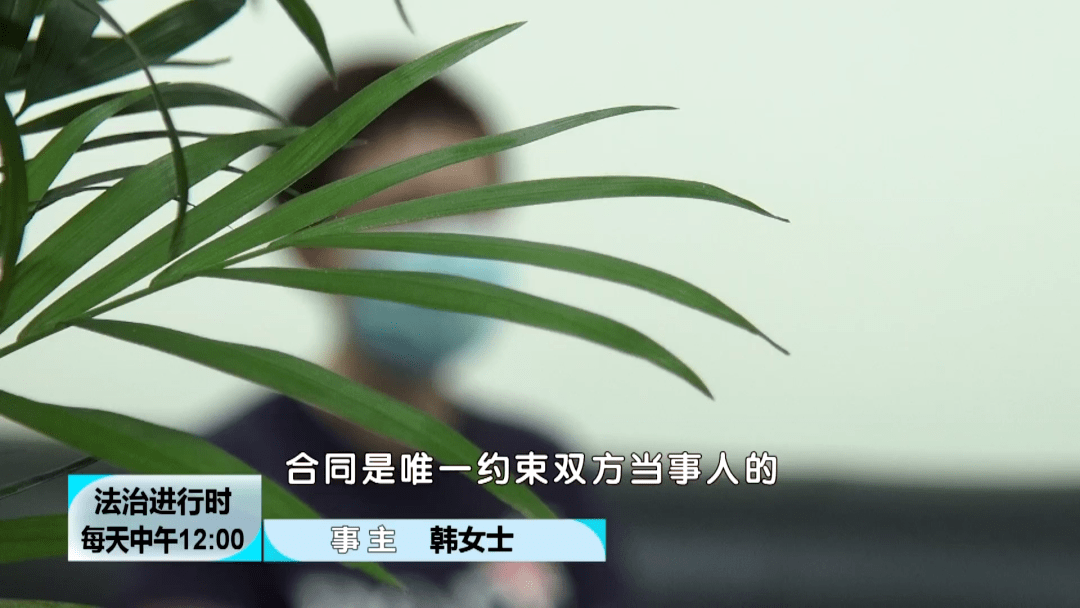 女子购买中意人寿2800万元天价保险 然后发现“有猫腻”(图4)