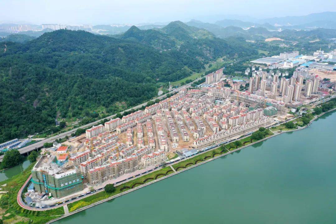 锦侨媒体交流会丽水南城共叙文鼎筑就未来