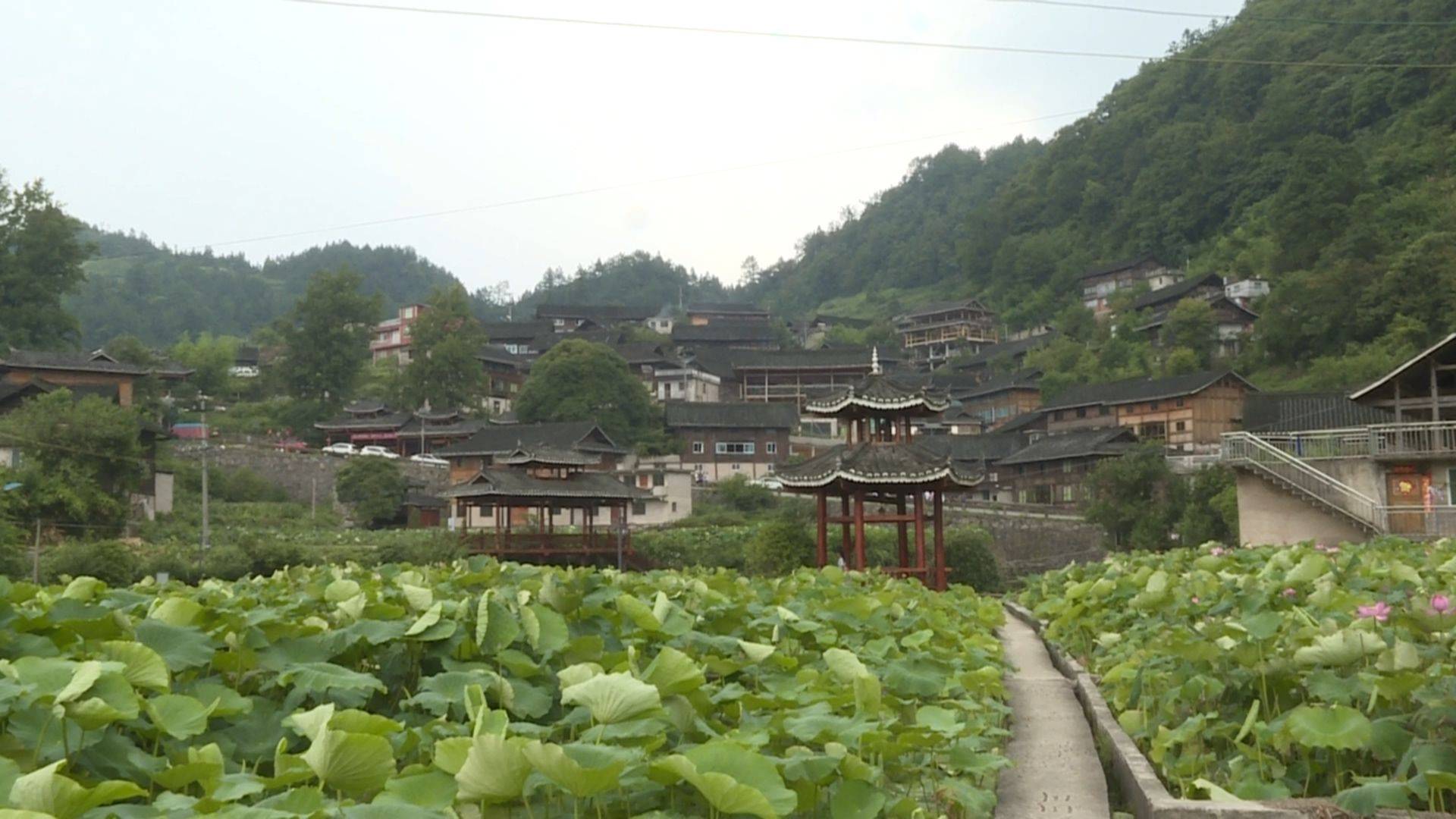 贵州龙塘村图片