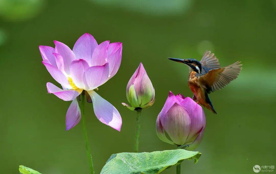 光影中国7月21日图片精选