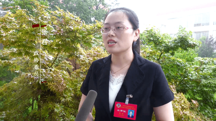 聚焦两会|涉县政府工作报告新鲜出炉,代表,委员听报告话感受