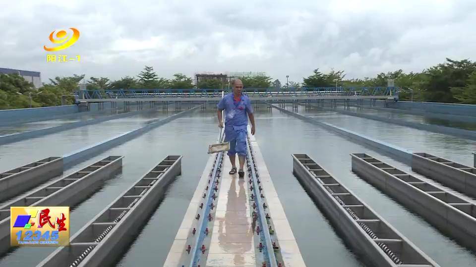 保障|阳江市水务集团加强水质检测 保障台风后的供水安全