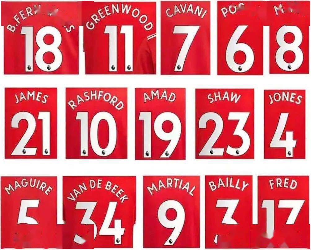 有需要印号码和臂章的魔迷,可进入商品详情,点击英超印号链接和臂章