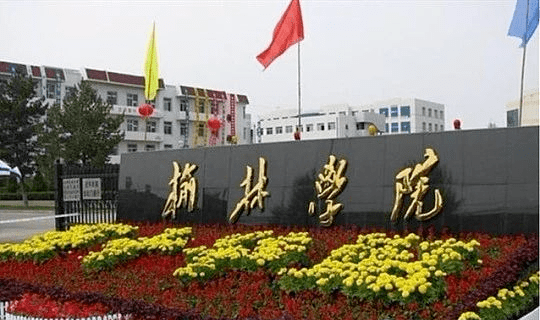 榆林学院一在校大学生被判刑