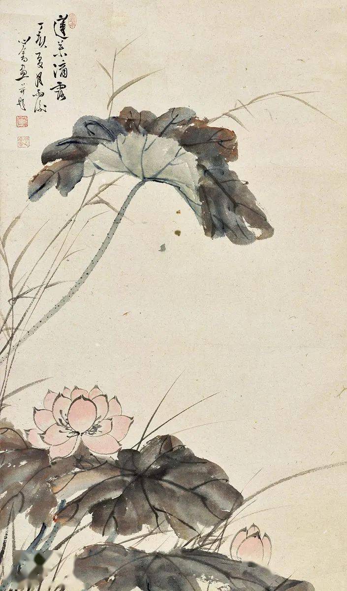 67他笔下的荷花亭亭玉立宛如少女