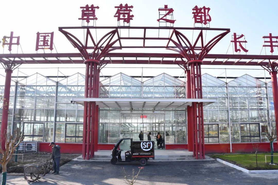 又一文旅项目落户长丰,草莓小镇打造草莓特色马拉松赛道