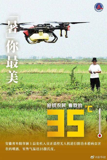 烈日|“暑”你最美