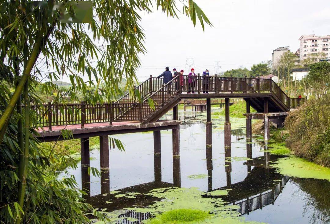 乡村振兴看示范双柏村田园风光美橘香溢满园