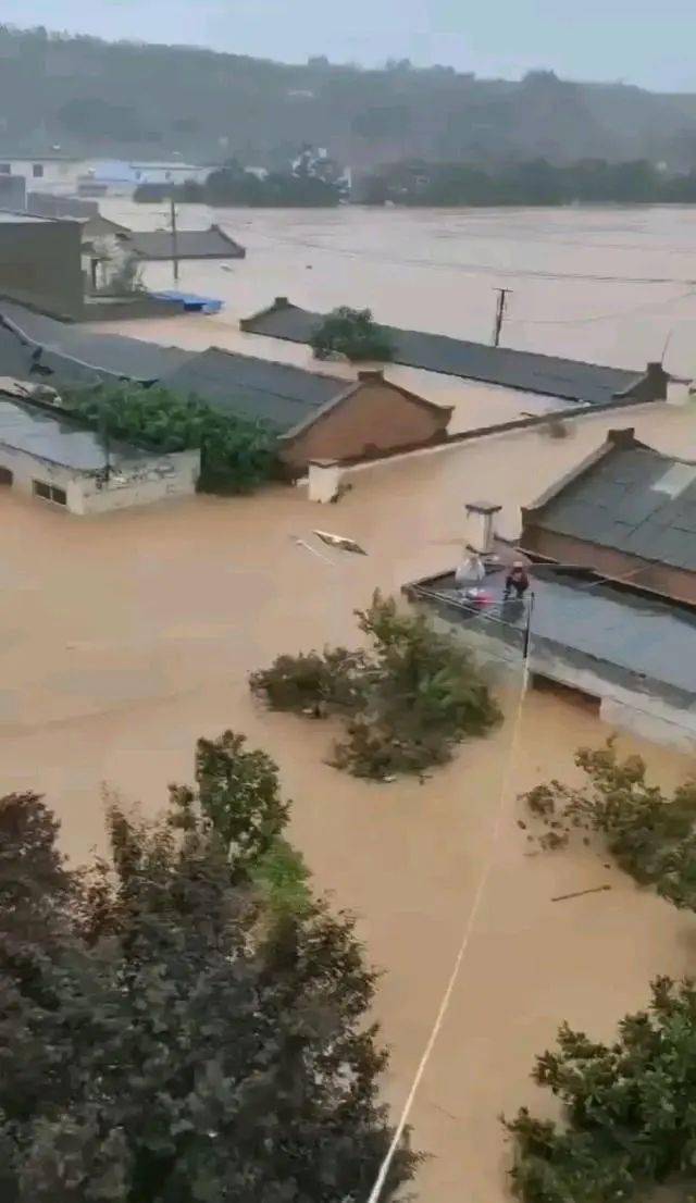 河南新乡被淹图片