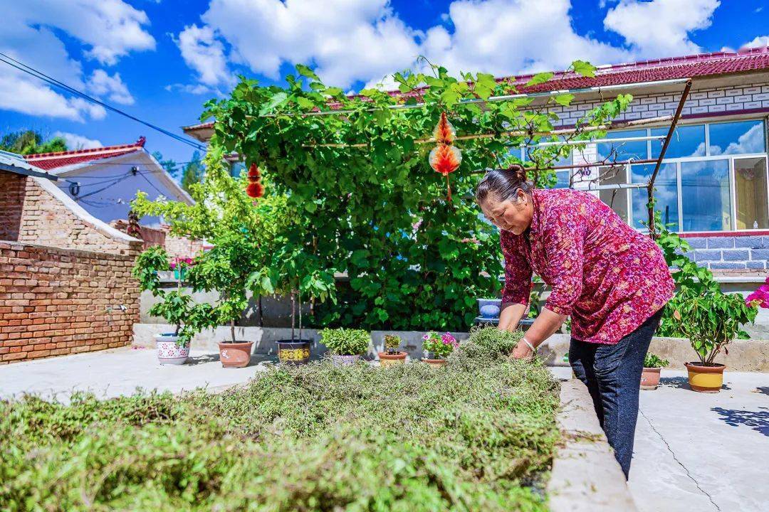 山野生机盎然,百姓安居乐业.