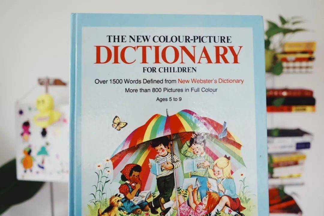 我一页页读完了这本适合5 9岁的儿童词典 英语