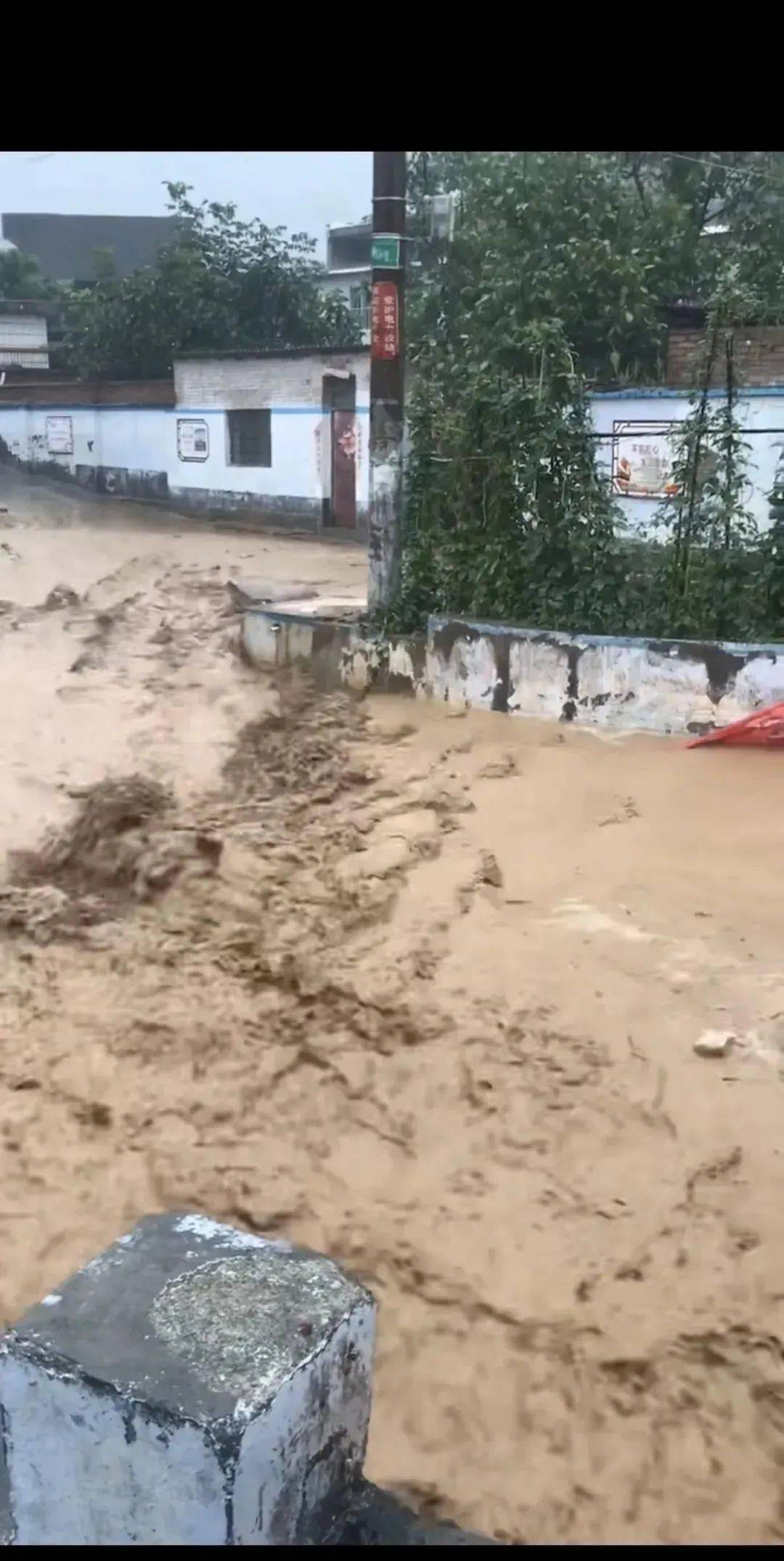 河南周口暴雨受灾图片