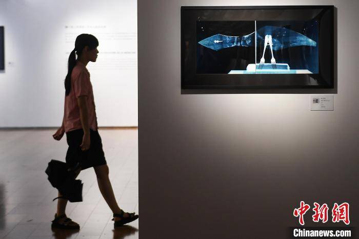 杨华峰|X射线下世界名画长沙展出