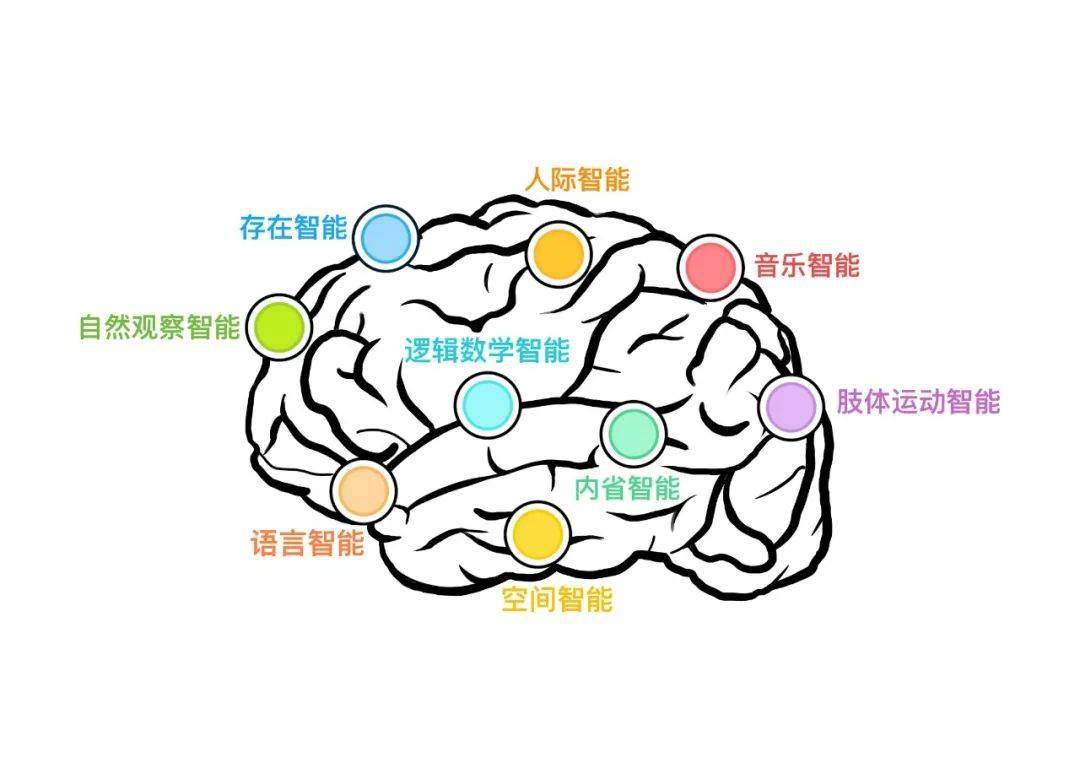 每个孩子都是独一无二的个体,通过发展孩子的多元智能,家长可以找到