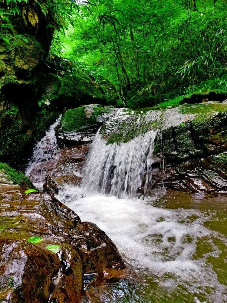 沅陵乡村溪谷之恋·樊家溪_水潭